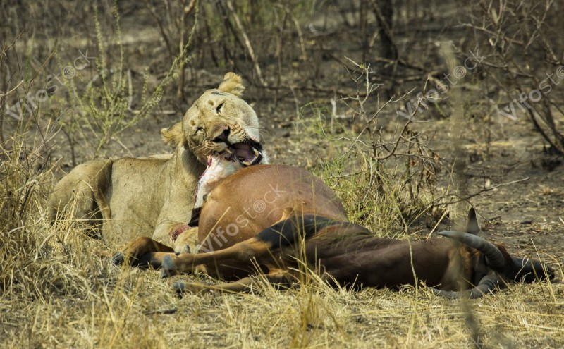 39141867235 bc85de4866 o