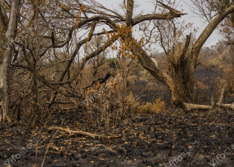 Akagera National Park