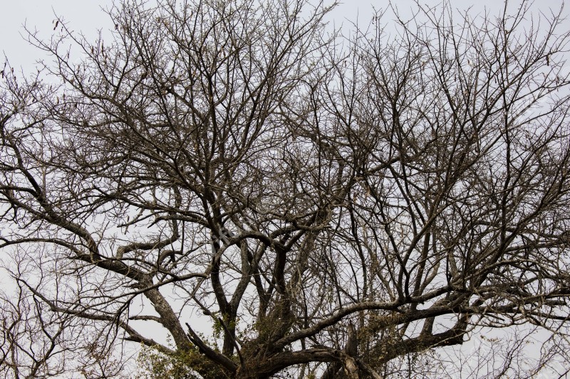 Akagera National Park