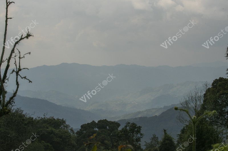 Ap6i0774 53005652348 o