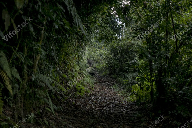 Ap6i0792 53005652433 o