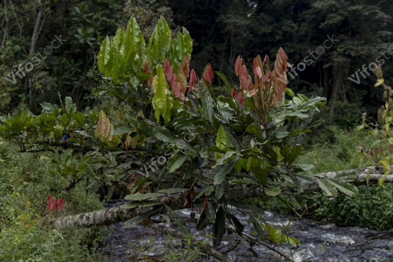 Ap6i1237 53005553080 o