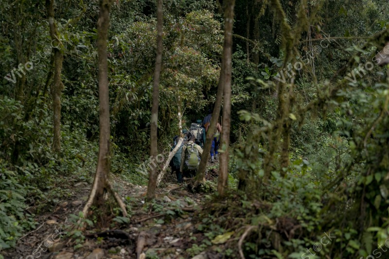 Ap6i1241 53005329659 o