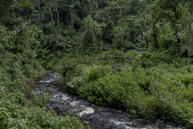 Ap6i1243 53005166056 o