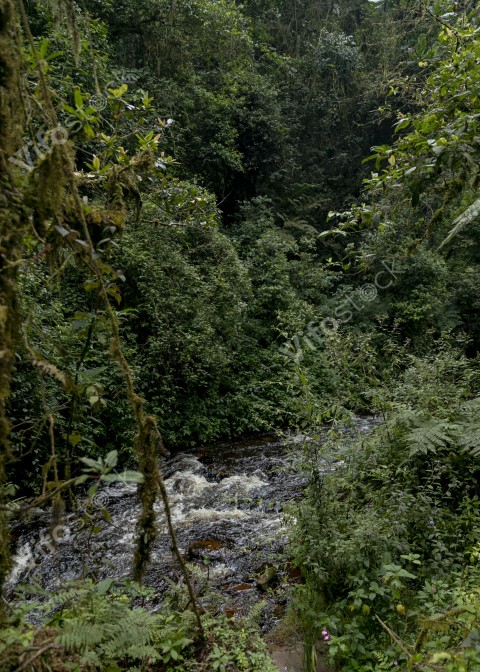 Ap6i1248 53005553180 o