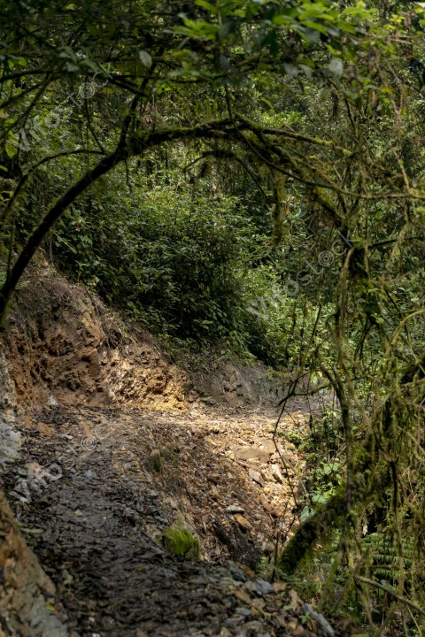 Ap6i1252 53005652538 o