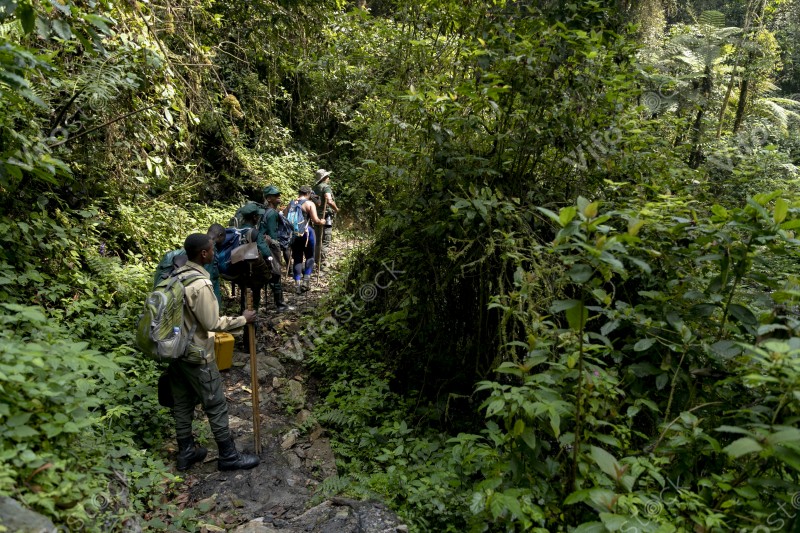 Ap6i1254 53005553275 o