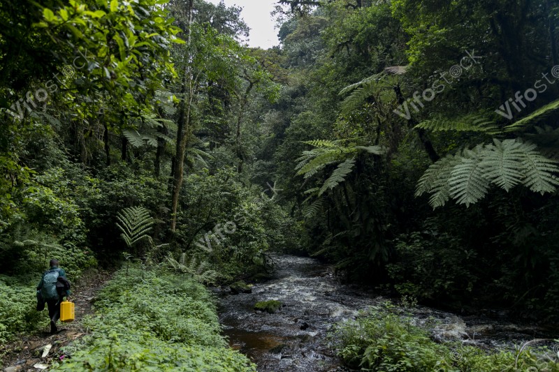 Ap6i1256 53005329799 o