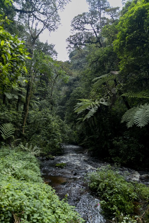 Ap6i1257 53005652663 o