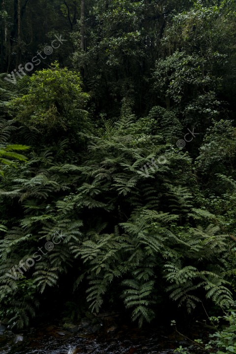 Ap6i1260 53005329829 o