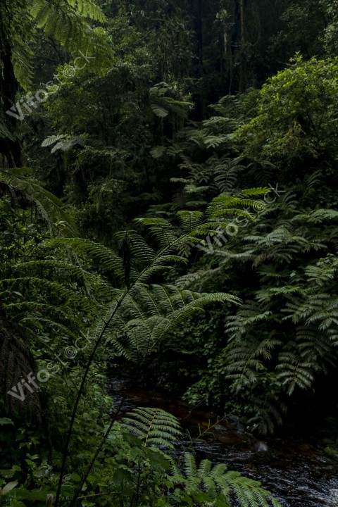 Ap6i1261 53004583062 o