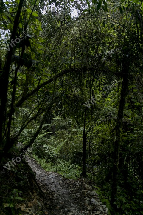 Ap6i1262 53005652713 o