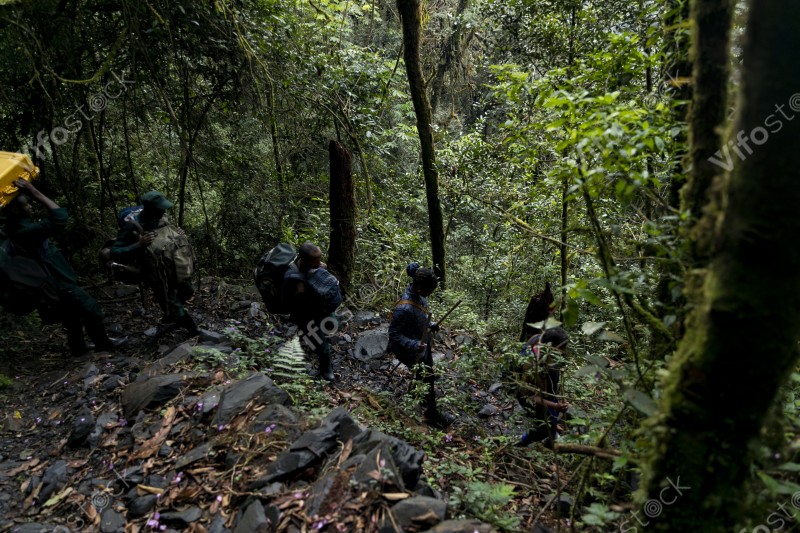 Ap6i1269 53005166276 o