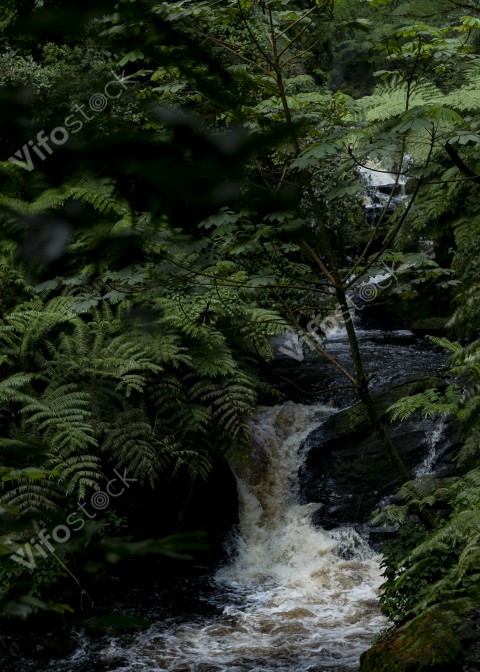 Ap6i1291 53005553415 o