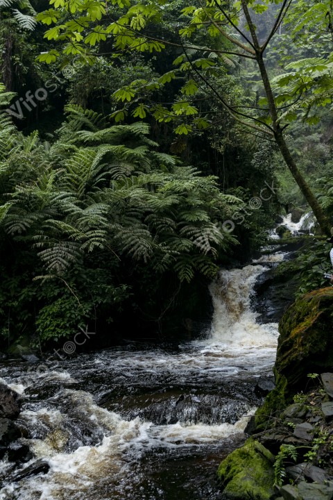 Ap6i1300 53004583202 o