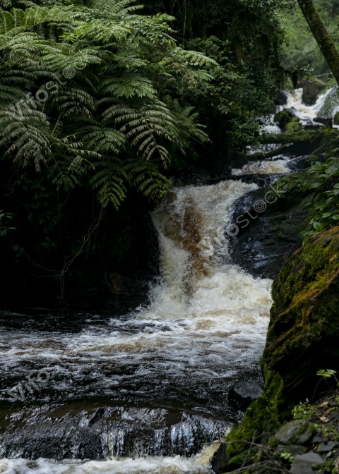 Ap6i1302 53005652833 o