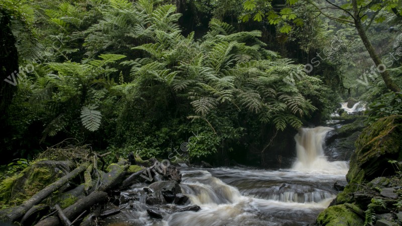 Ap6i1308 53005652853 o