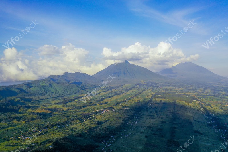 Volcanoes National Park in Rwanda, DJI 0982