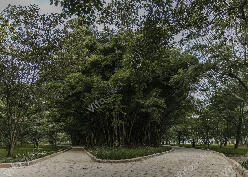 Kimihurura Roundabout Park9