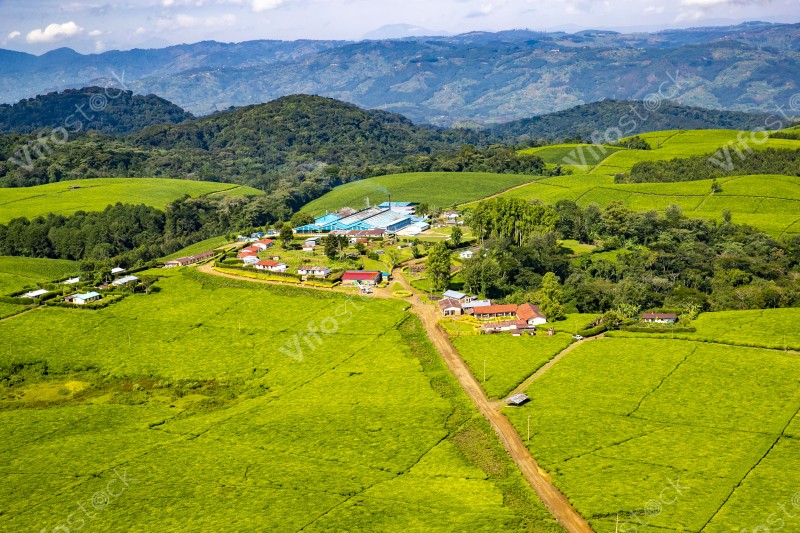 Rwanda a land of thousand hills 2018 53692477832 o