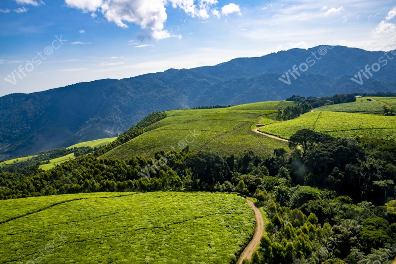 Rwanda a land of thousand hills 2018 53693803860 o