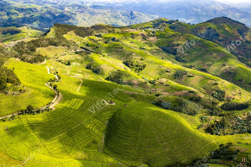 Rwanda a land of thousand hills 2018 53693804205 o